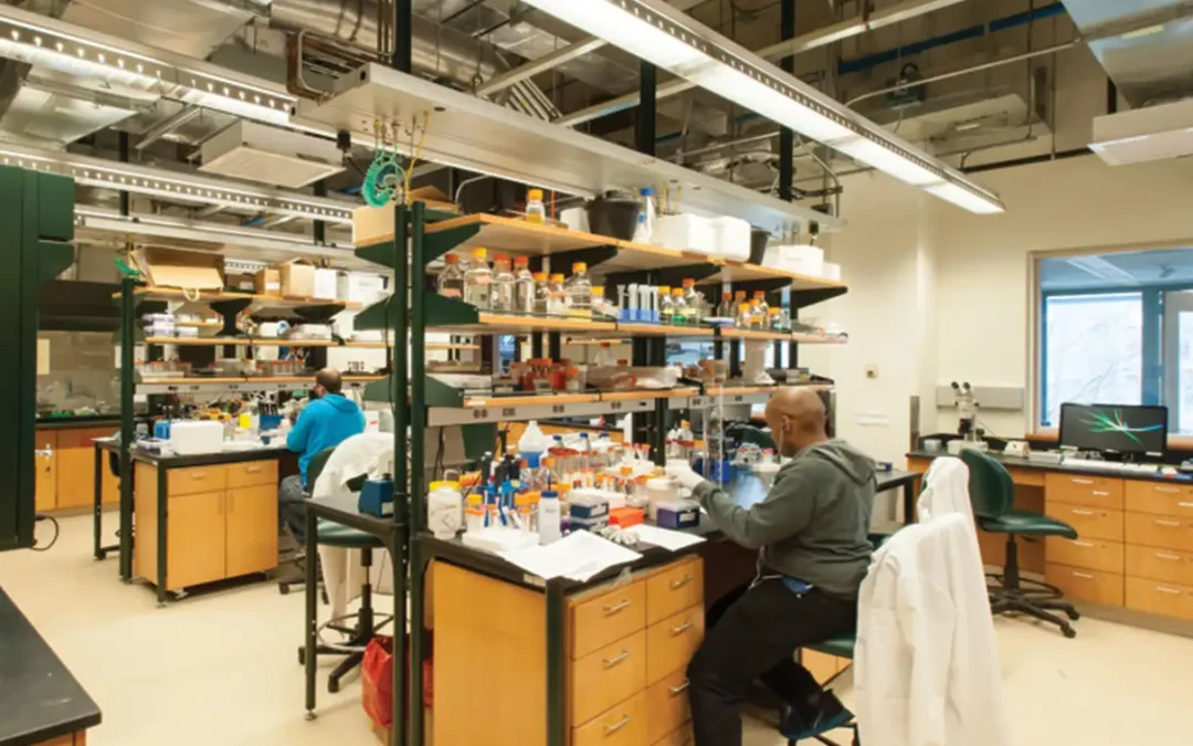 DEREK BRIGGS LABORATORY