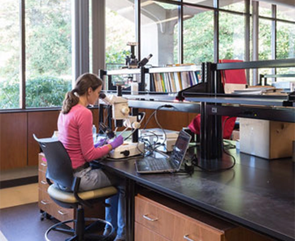 North Lab 3