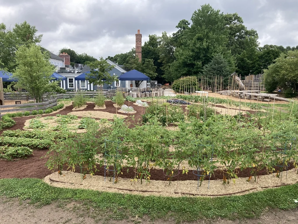 Exterior Garden
